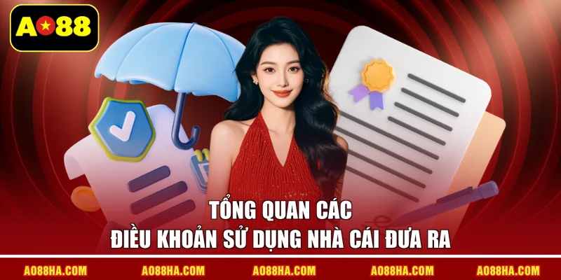 Tổng quan các điều khoản sử dụng nhà cái đưa ra